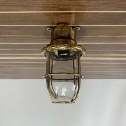 Vintage Clear Globe Brass Ceiling Light
