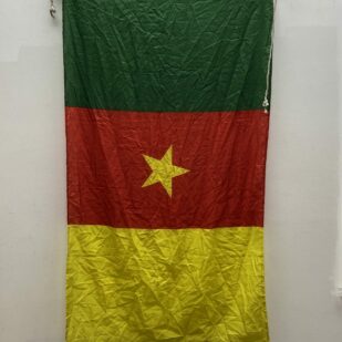 Cameroon Ship Flag - 60" x 35.5"