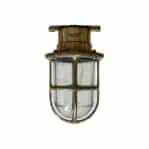 White Background - Clear Globe Miletich Caged Brass Ceiling Light