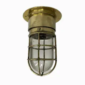 Brass ceiling cage light with patina on smooth brass base
