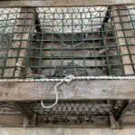 looking at the hook that keeps the lobster cage closed