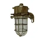 main photo of the Vintage Brass Nautical Ceiling Light - Caged Ship Fixture