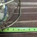 Brass Bulkhead Light Caged CeilingWall Sconce w Optional Conduit Wiring 11