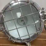 looking into the cage