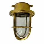 Vintage Brass Ceiling Light with Clear Globe