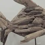 close up of fish center