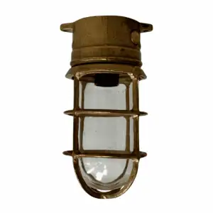 Vintage Oceanic Red Brass Ceiling Light Front View