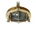 vintage brass cage light underside profile view with cage detail